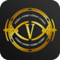 vtoken数字资产安全管理平台V1.0.0