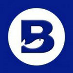 Bybit数字资产交易平台功能详解v6.0.3