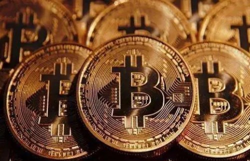 Rose币行情分析界面