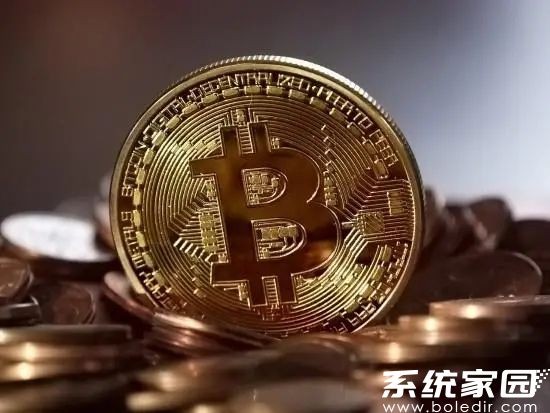 资产管理系统