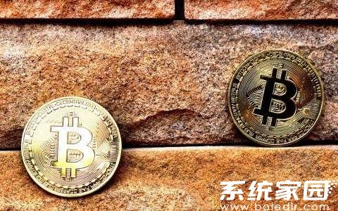 stas币怎么样?stas币未来发展前景如何