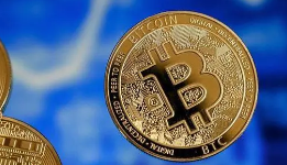 fet币价值与前景 fet币未来涨到100美金