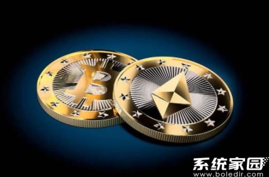 星币钱包注册详细步骤图解