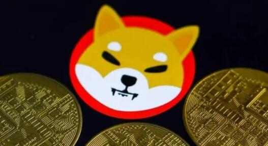 柴犬币今年涨幅如何？ 柴犬币未来前景深度解析