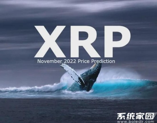 xrp钱包怎么使用?xrp钱包激活方法