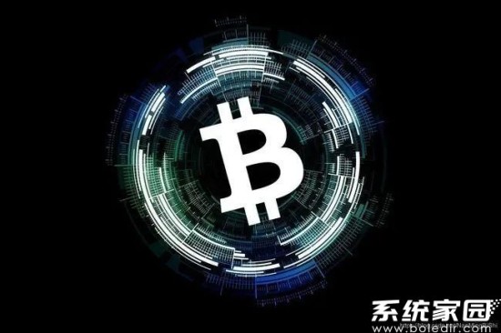 币圈最新消息2024有哪些动态