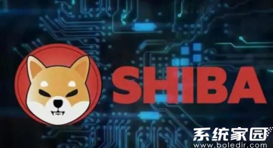 中币会不会清退?中币会清退中国用户吗
