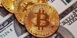 gopay钱包支付操作示意图