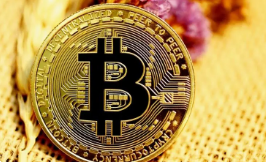 Gopay支付密码忘记应对指南