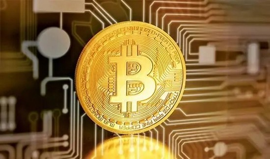 维卡币2024方最新消息是什么 维卡币2023官方最新消息分享