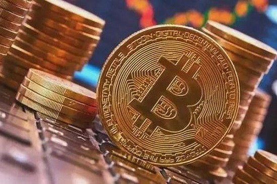全球数字货币钱包排名解析