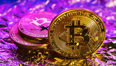 波币钱包是什么 波币钱包app功能全面解析