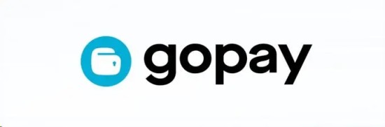gopay钱包客服异常点不开什么原因
