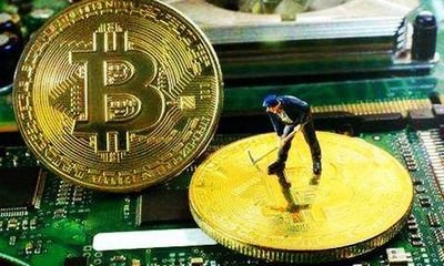 IFC币是什么？ IFC币详情介绍