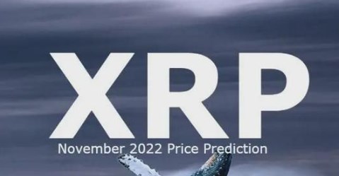 xrp钱包怎么使用?xrp钱包激活教程