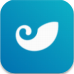 苹果版BCH钱包安全资产管理方案