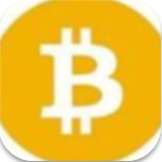 BSV钱包应用一站式数字资产管理v3.0.2 免费版