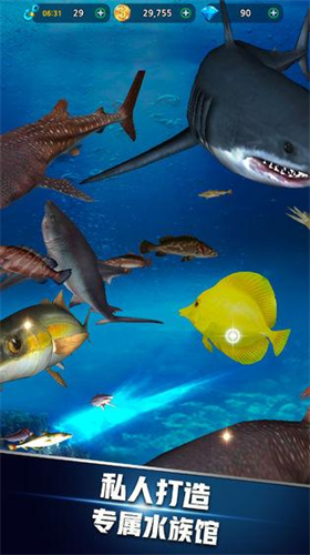 u9493u9c7cu8fbeu4eba2020u5185u8d2du7248