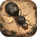 小小蚁国资源无限畅玩版 v1.58.0 无限钻石版