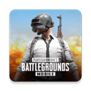 日韩服PUBG手游免费畅玩真实对抗v2.8.0 无限钞票版