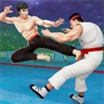 功夫大师畅玩版动作手游无限资源