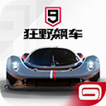 狂野飙车9真实竞速无限资源v4.1.0r 无限蓝币版