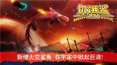 鲨鱼进化形态展示