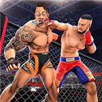 武术格斗全角色畅玩3D激斗