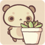 治愈花园植物养成日记