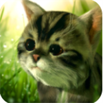 猫咪追寻奇幻冒险手游免费v0.91 无限金币版