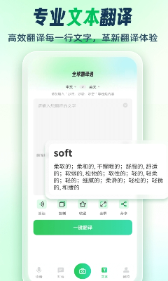u5168u7403u7ffbu8bd1u5b98