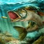 海岛生活模拟沉浸式生存v14 无限金币版