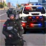 模拟警察巡逻真实执法中文版v1.01 无敌版