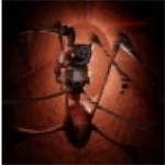 长腿蜘蛛恐怖逃脱 沉浸式解谜