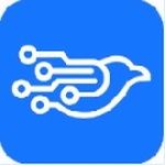 千鸟物联智能监控安全管理应用v3.8.1 免费版